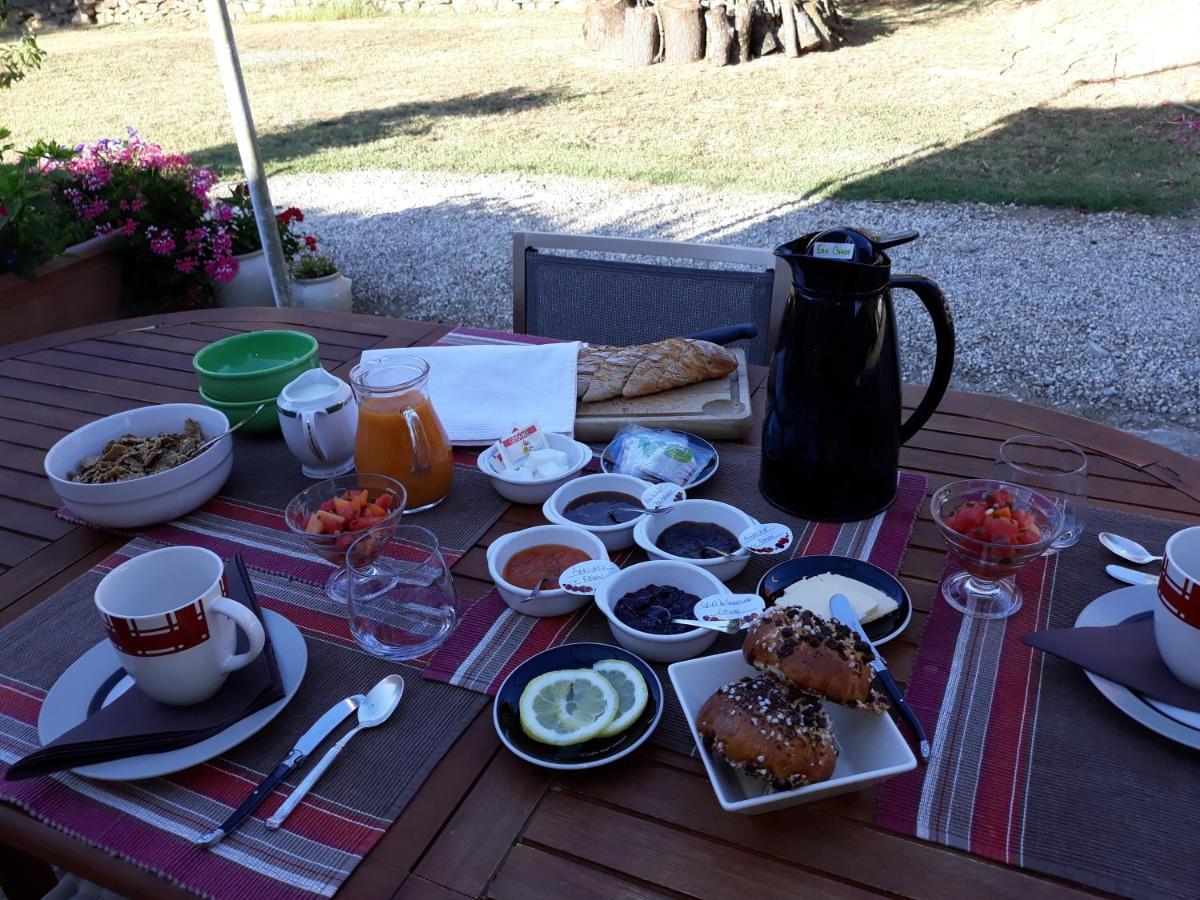 Chez Yvette , C'Est Chouette!! Bed and Breakfast Carcassonne Buitenkant foto