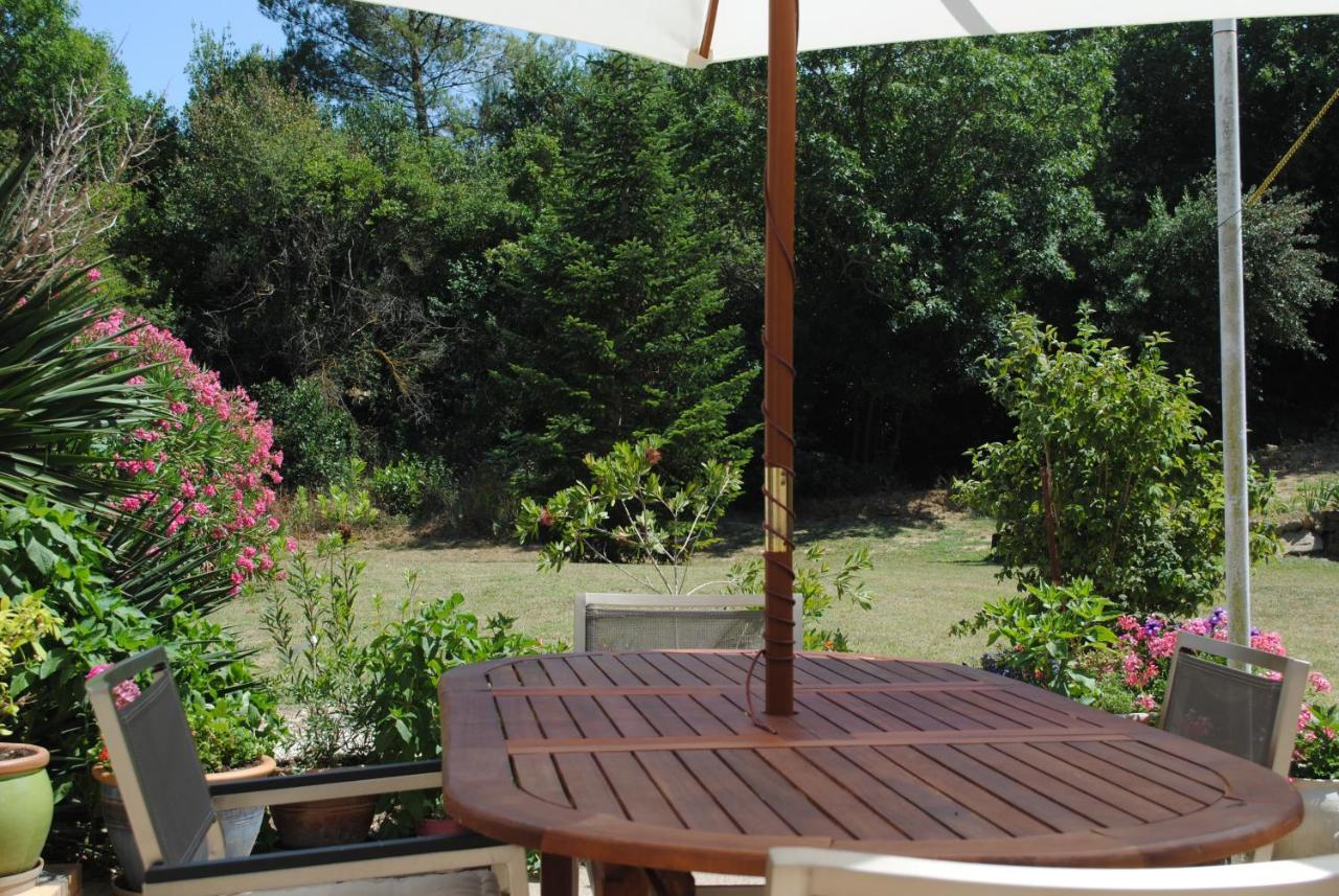 Chez Yvette , C'Est Chouette!! Bed and Breakfast Carcassonne Buitenkant foto