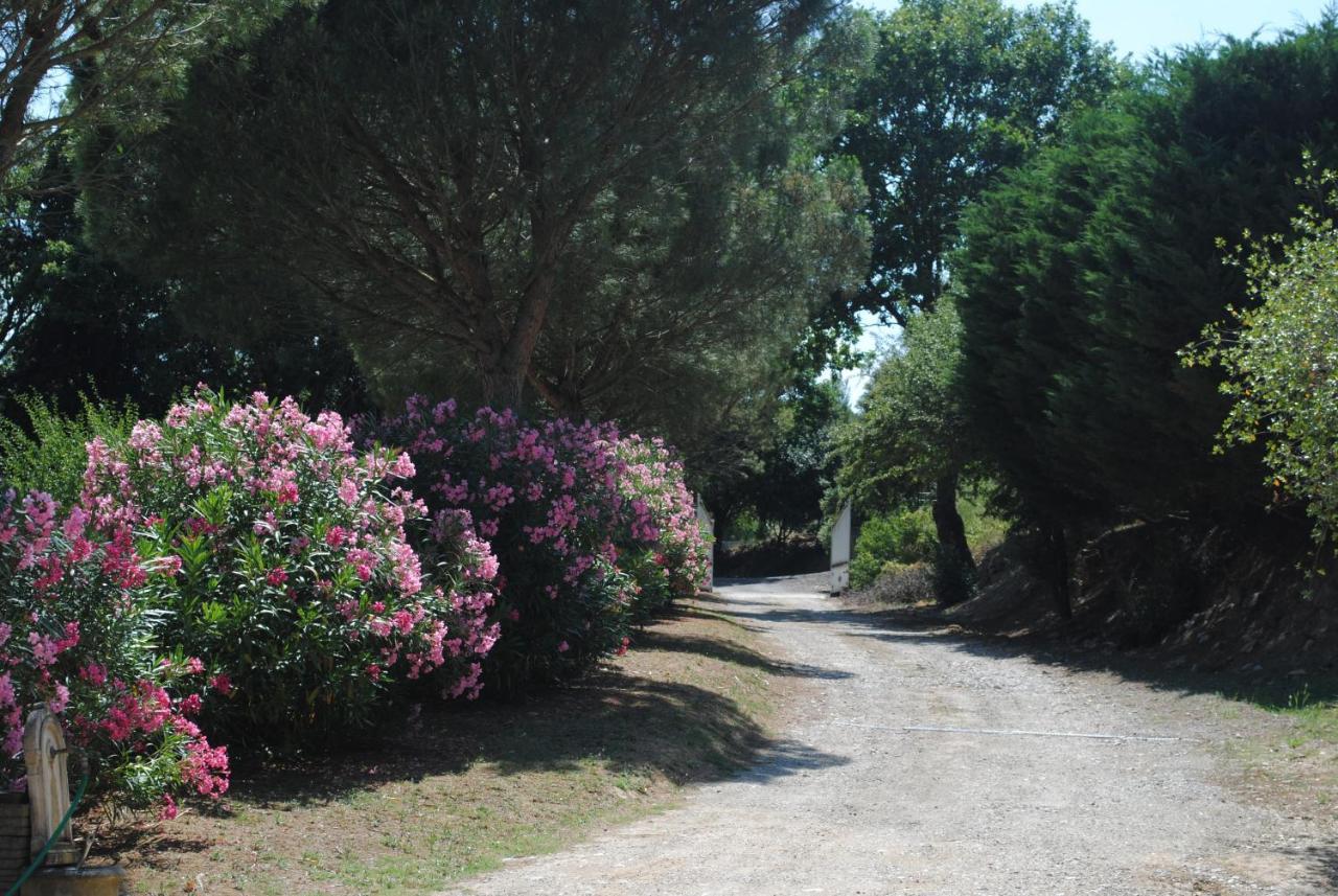 Chez Yvette , C'Est Chouette!! Bed and Breakfast Carcassonne Buitenkant foto
